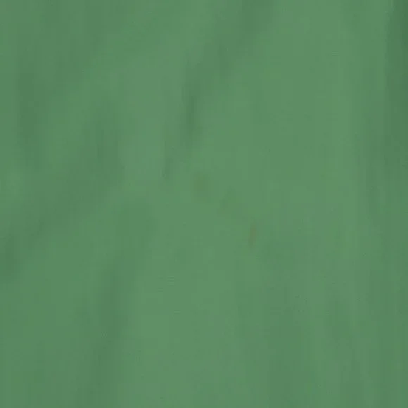 Magellan Sports Wear Mens Green Shirt Button Down Short Sleeves Sz S - Picture 10 of 10